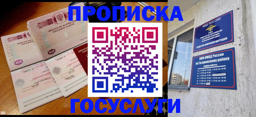 где прописаться в Сальске